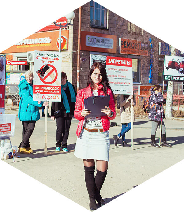 Пикет Закон нужен сейчас в г. Петрозаводске